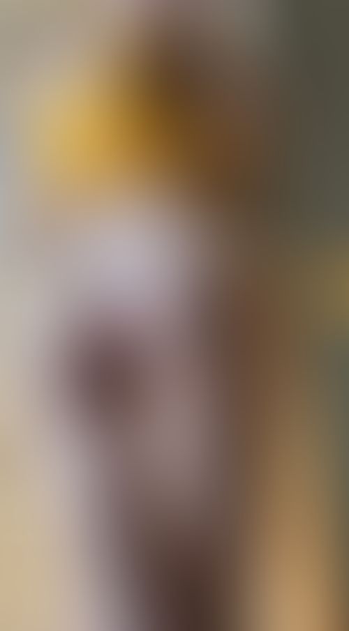 Imagem 1 de 1 - gostou da visão vida? vem ver mais em @[34023](nala)}