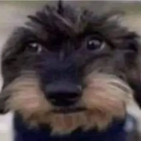 Foto de perfil da aikasxx