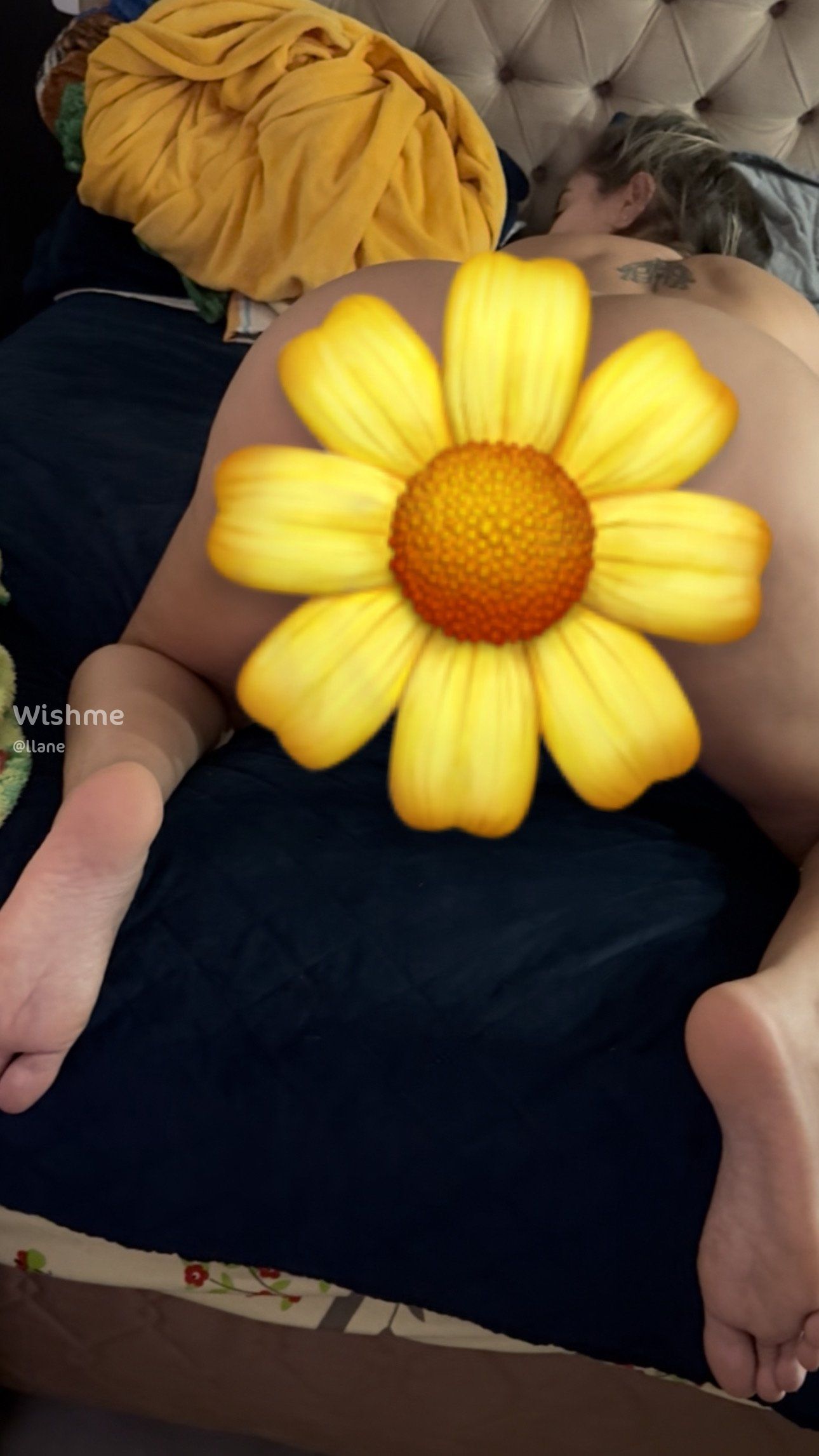 Imagem 1 de 1 - Compre o exclusivo e vem ver sem a 🌼}