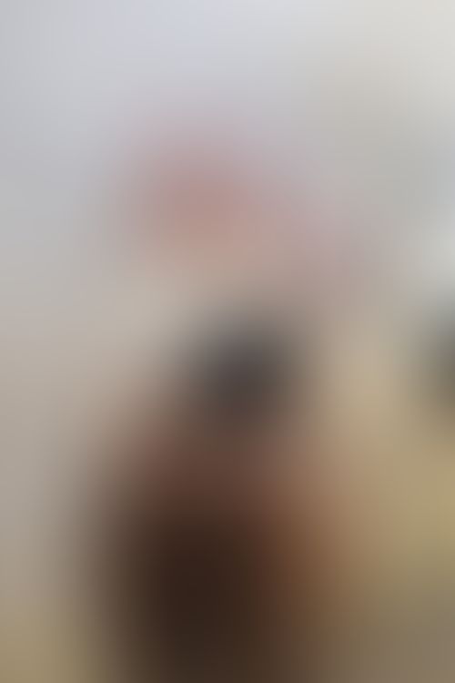 Imagem 3 de 4 - null}
