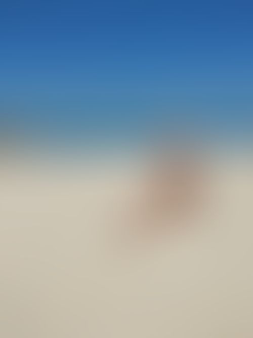 Imagem 2 de 5 - null}