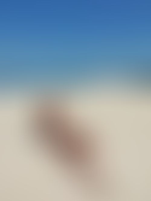 Imagem 1 de 5 - null}