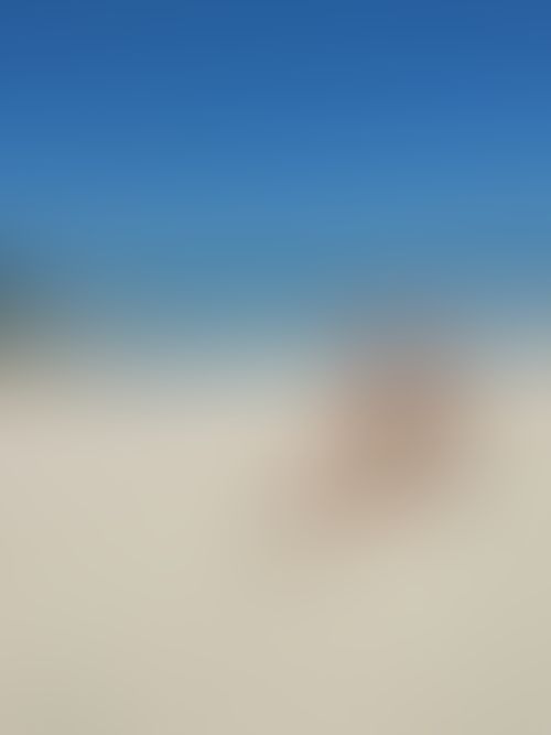 Imagem 5 de 5 - null}