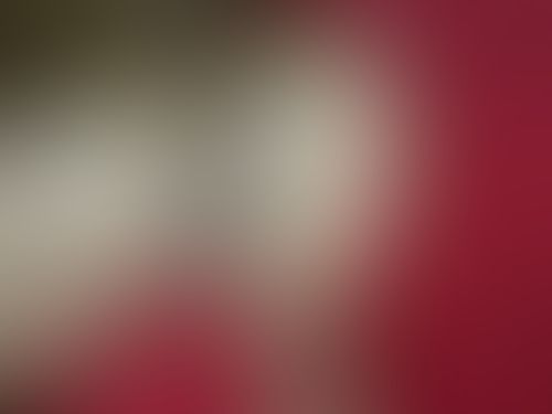 Imagem 2 de 2 - Cuzinho foi todo fudido e ficou cheio de leitinho, vem ver ele cuspindo para para fora esse leitinho todo. Adoro da o cú, massa demais.}