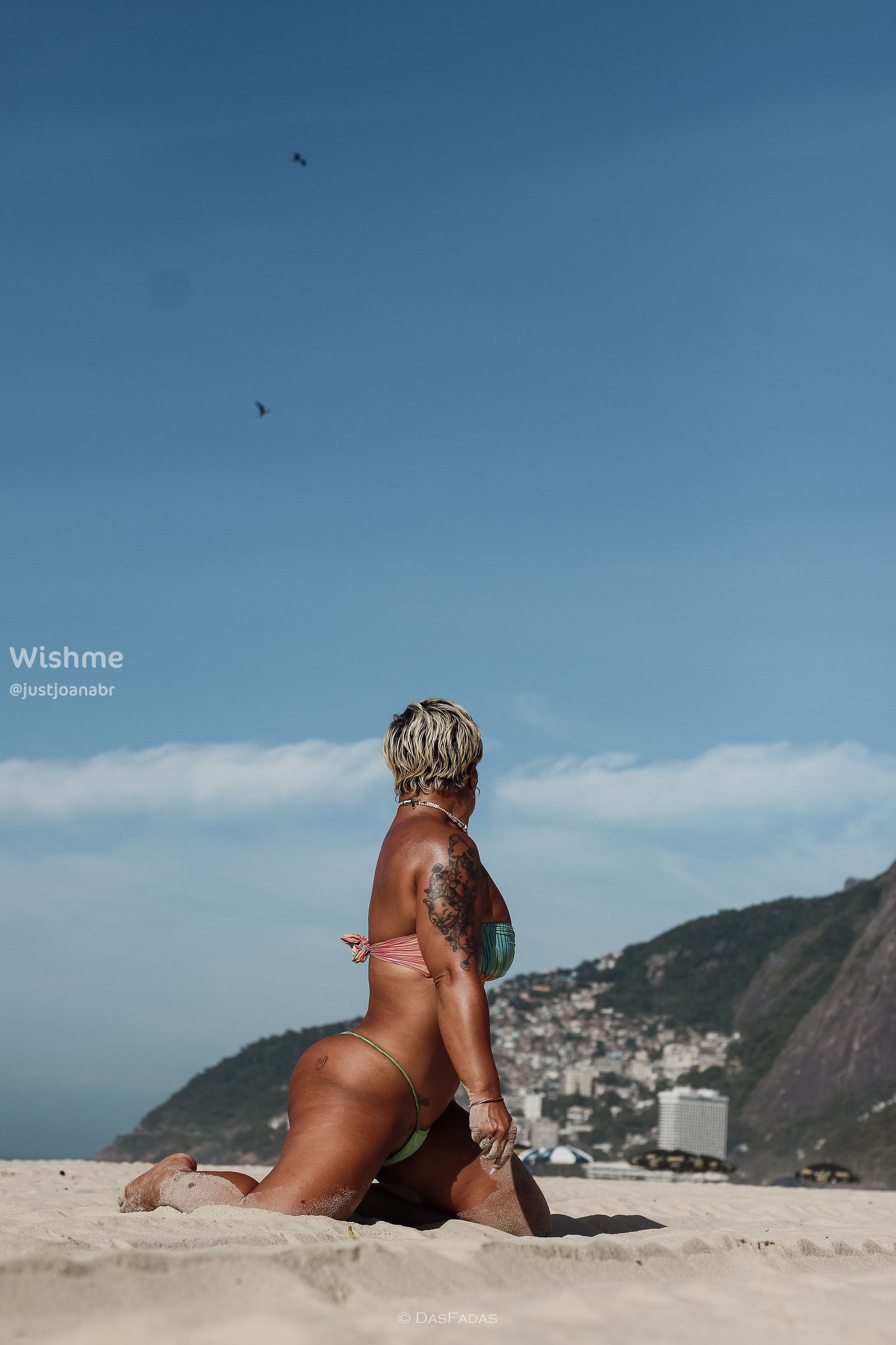 Imagem 4 de 28 - Vem ver essa cavala em solo carioca!}